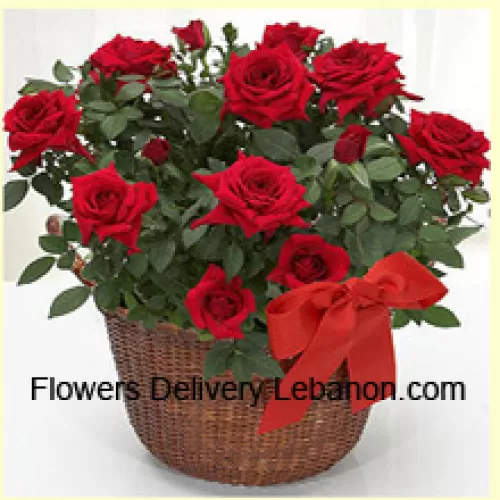 Una bellissima disposizione di 18 rose rosse con riempitivi stagionali