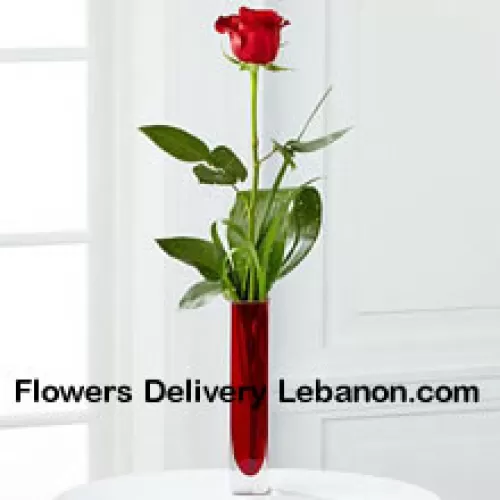 Eine einzelne rote Rose in einer roten Reagenzglasvase (Wir behalten uns das Recht vor, die Vase bei Nichtverfügbarkeit zu ersetzen. Begrenzter Vorrat)