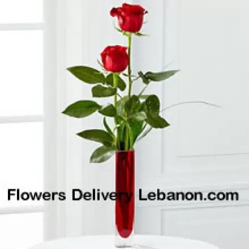 Due Rose Rosse in un Vaso di Prova Rosso (Ci Riserviamo il Diritto di Sostituire il Vaso in Caso di Non Disponibilità. Scorta Limitata)